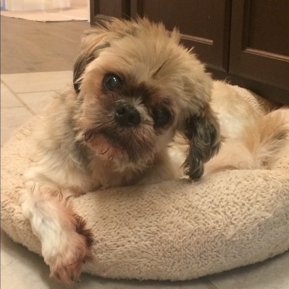 AnnJay and Sam Fashion super stars always in style - Picture 8 of 8